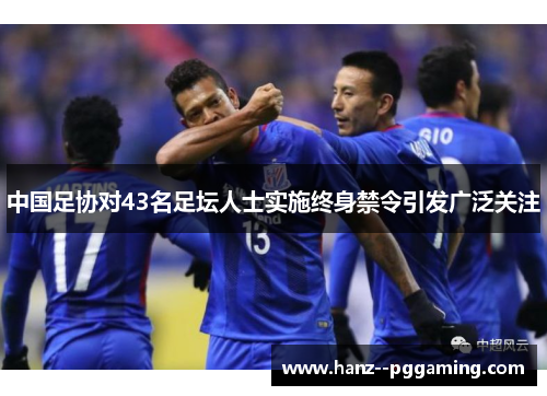 中国足协对43名足坛人士实施终身禁令引发广泛关注